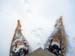 winter_snowshoes